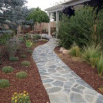 Backyard landscaping with a stone path.