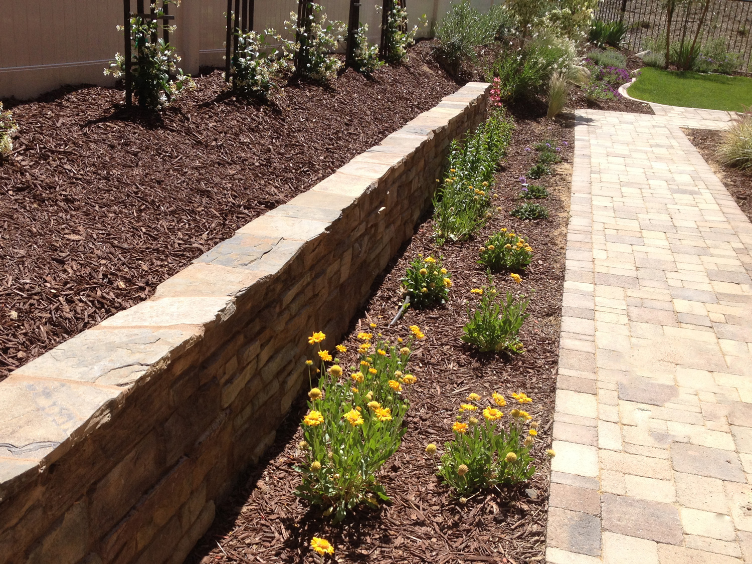 Stone faced retaining wall with paver walkways in Temecula McCabe's Landscape Construction