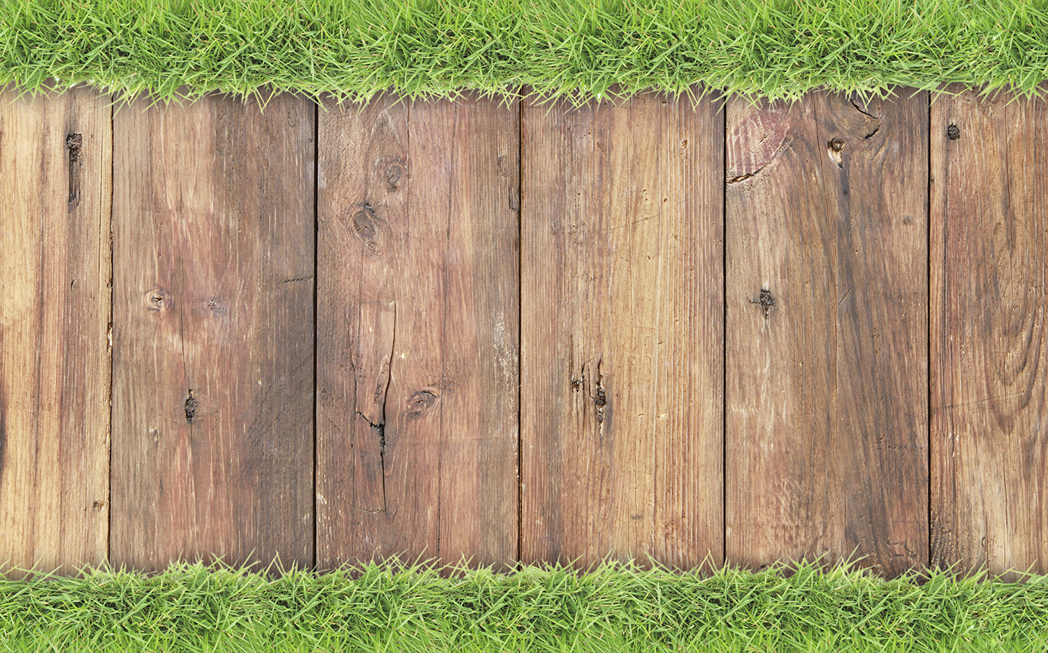 Wood plank walkway on grass.
