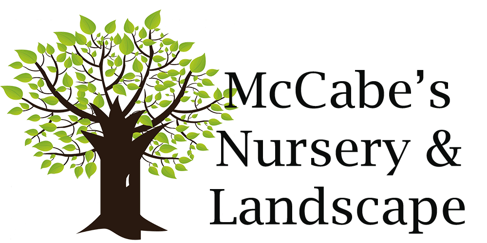 McCabe's Nursery and landscape logo