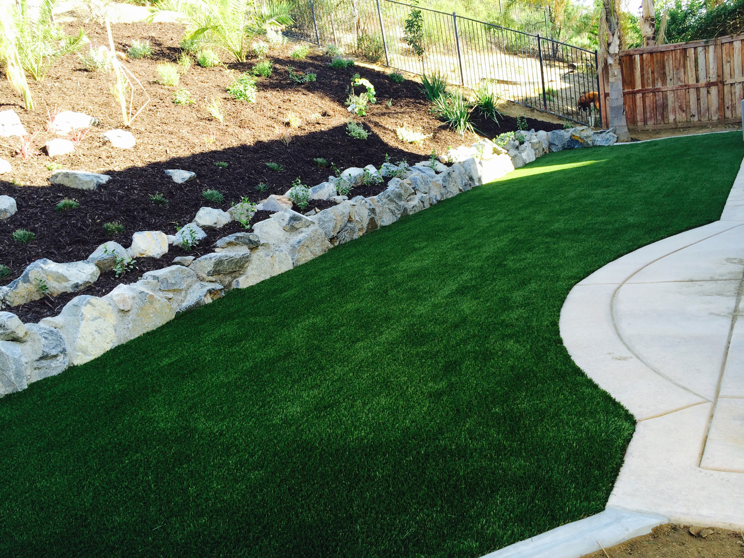 Backyard landscaping with green grass and hillside mulch beds and plants.