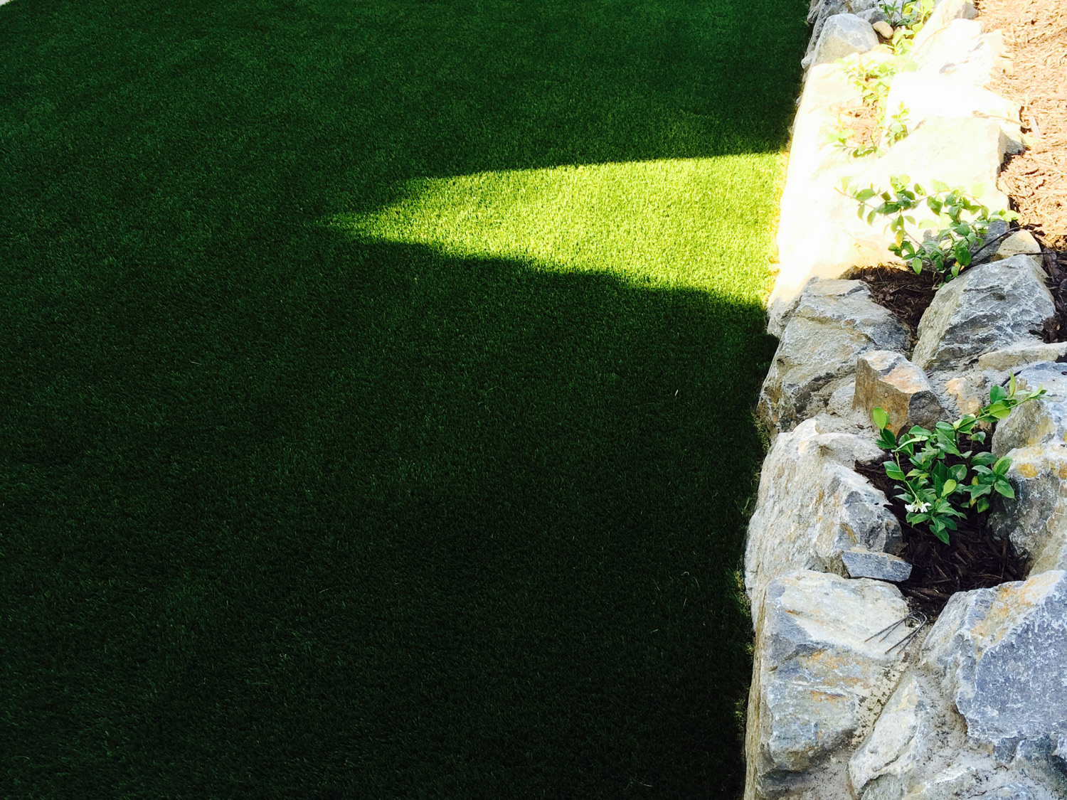 Backyard landscaping with green grass and hillside mulch beds and plants.