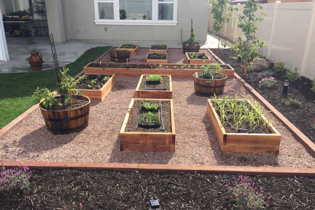 raised planter boxes