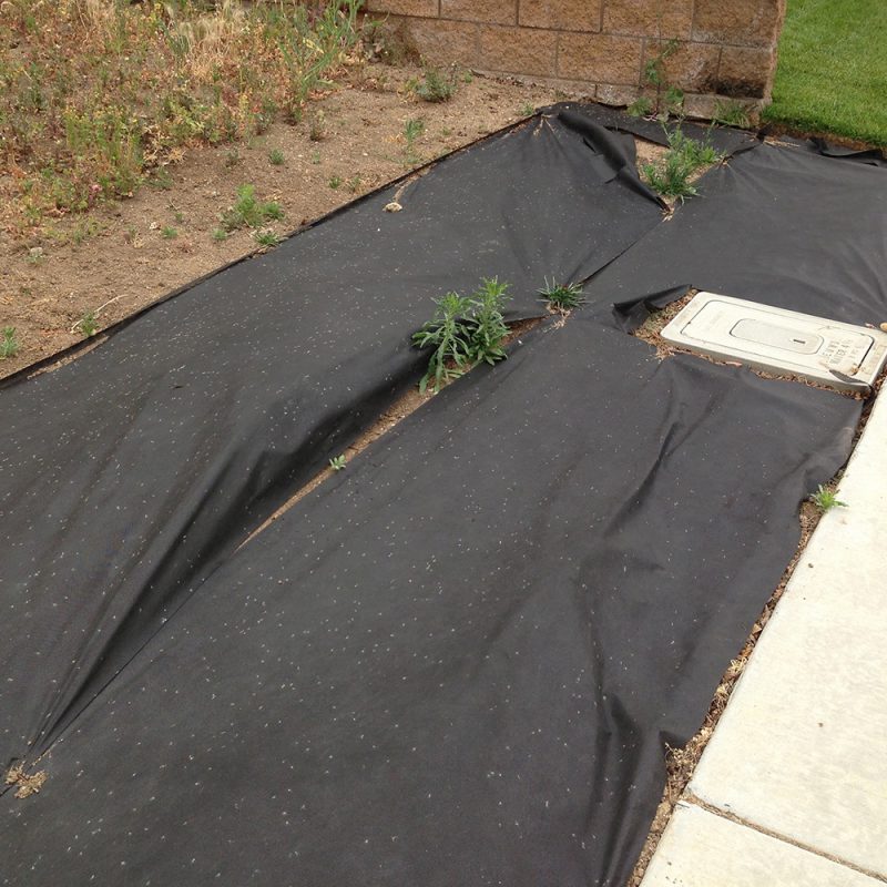 When to Use Weed Mats McCabe's Landscape