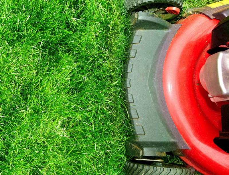 bermuda-grass-care-in-winter-mccabe-s-landscape-construction