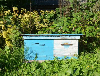 Close up on Wooden Ukrainian Blue Beehive with Garden Background