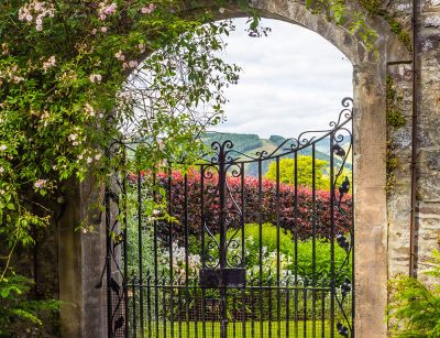 Old garden gate