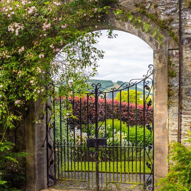 Old garden gate