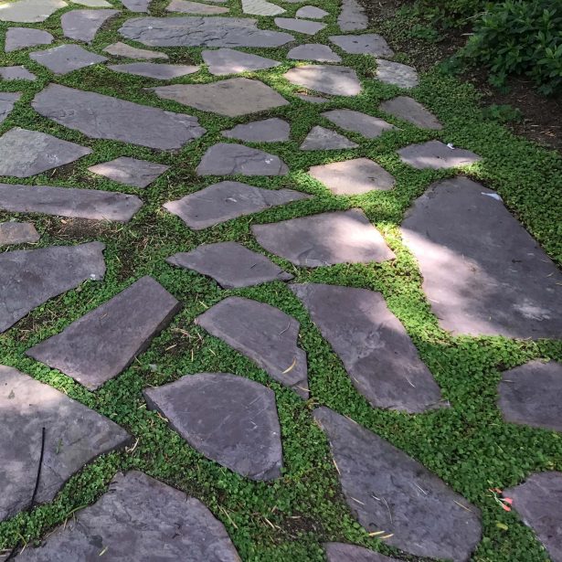 Planted flagstone patio