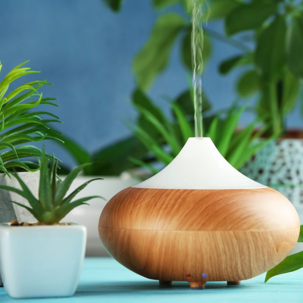 Aroma oil diffuser and plants on table