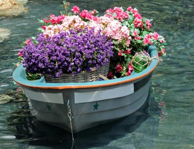 flowers in old boat