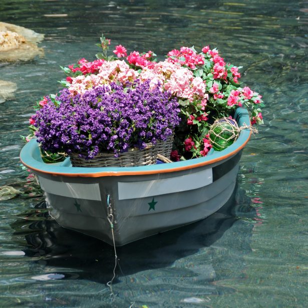 flowers in old boat