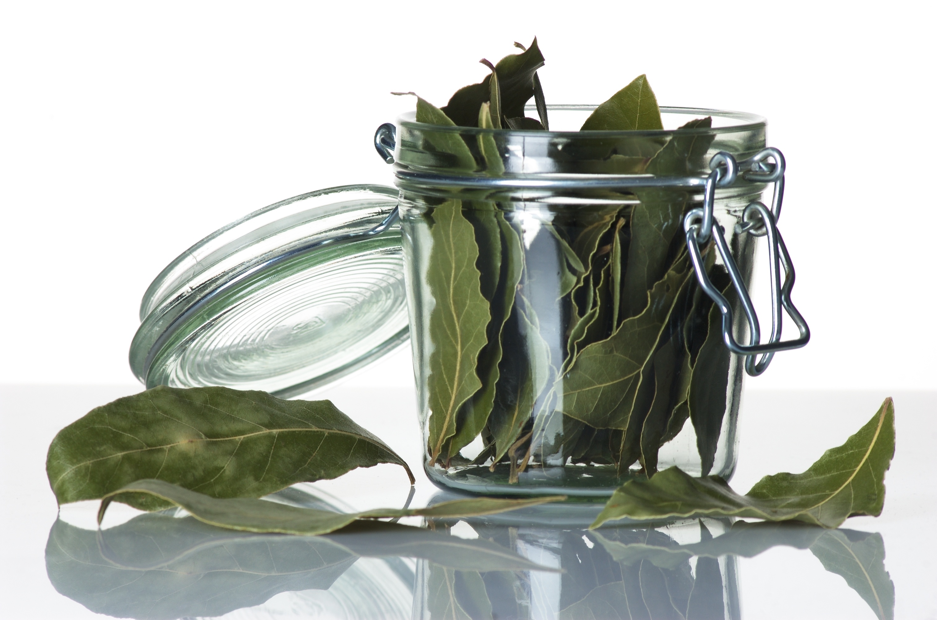 Jar of dried Laurel leaves