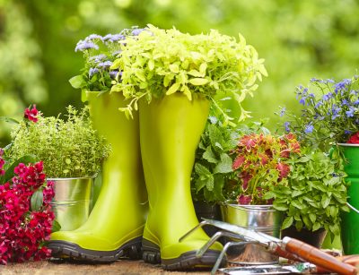 rain boots with garden tools