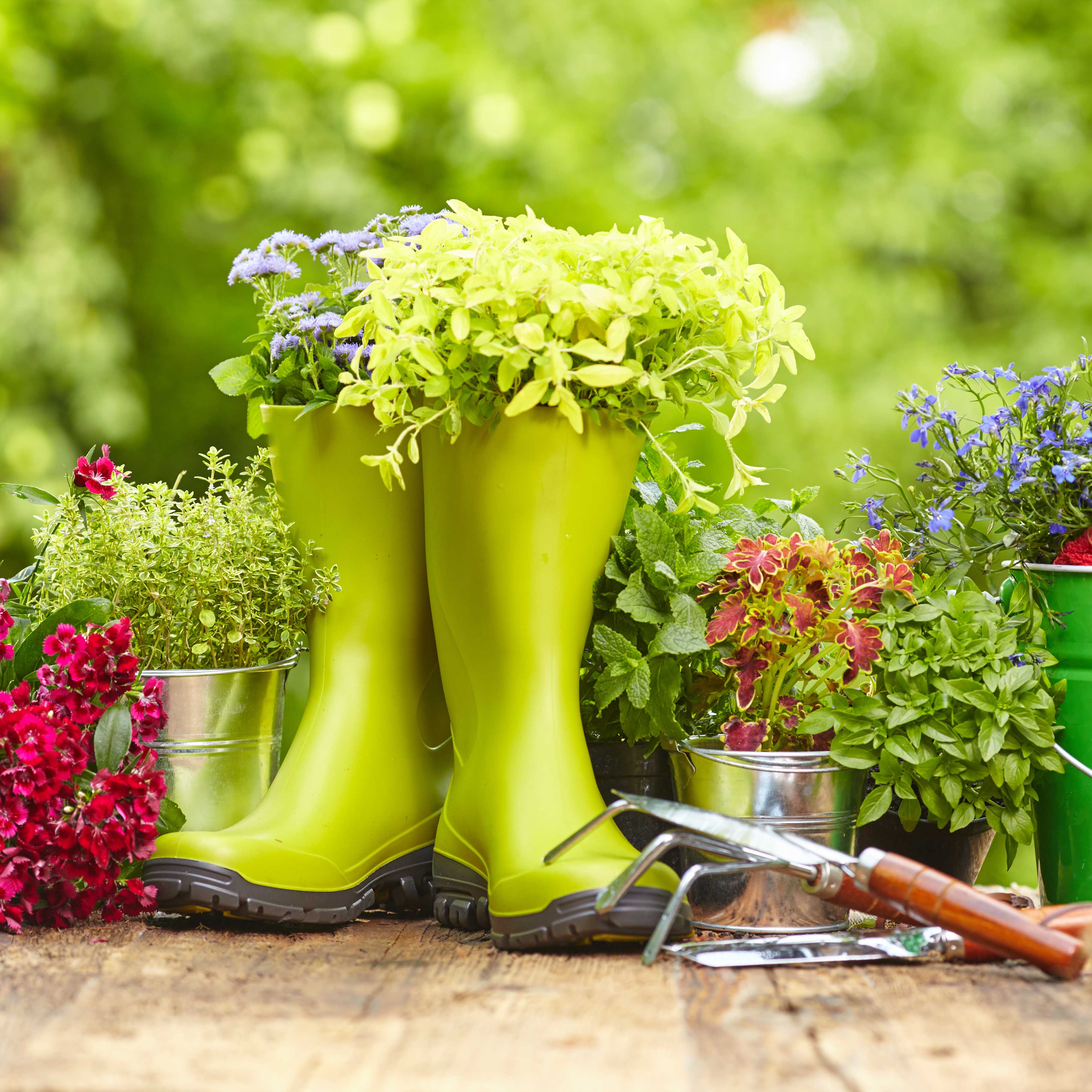 rain boots with garden tools