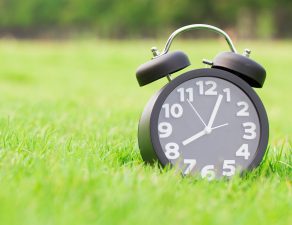 analog alarm clock in grass