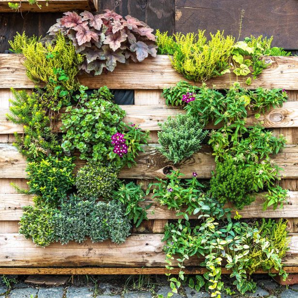 Pallet garden