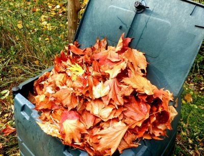 compost bin of fall leaves