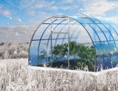 winter greenhouse for gardening