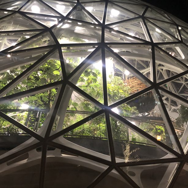 Amazon's Seattle Spheres