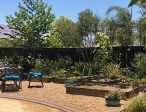 All About Potager Gardens  McCabe's Landscape Construction