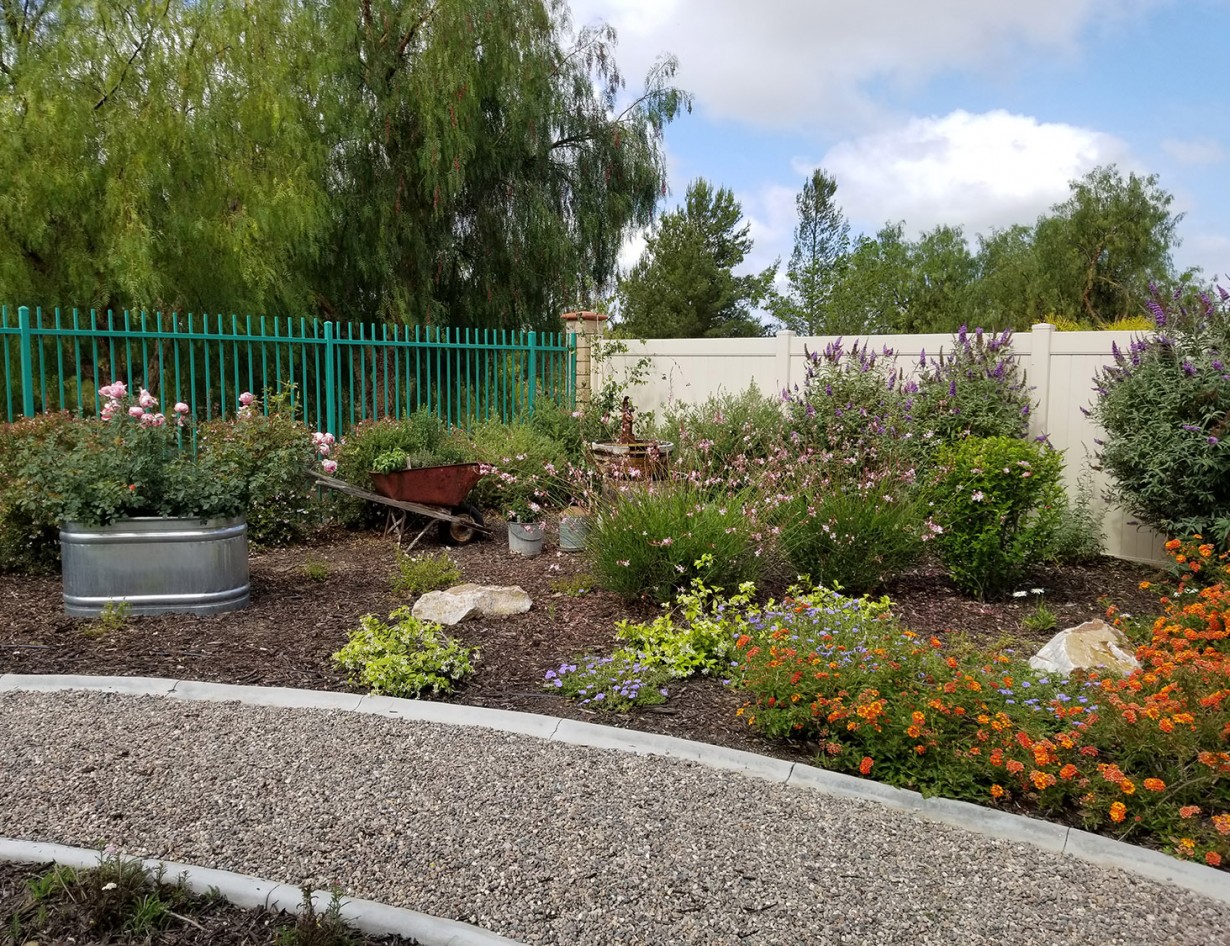 Stamped Concrete Courtyard McCabe's Landscape Construction
