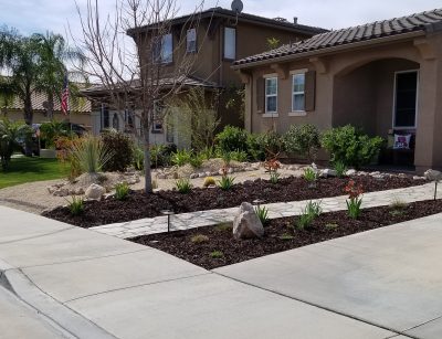 Arid style front yard landscape