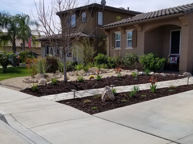 Arid style front yard landscape