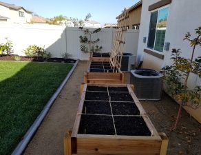 Grass and planter boxes