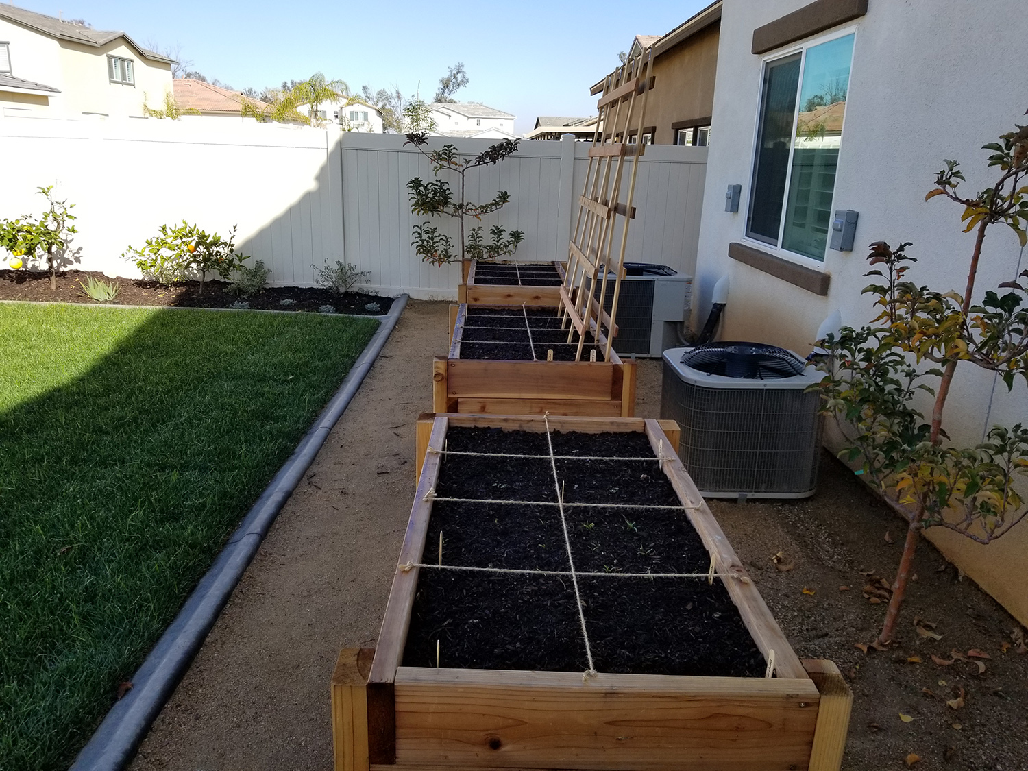 Grass and planter boxes