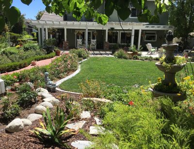 Cottage gardens with pathways