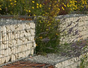 Gabion wall with flowers
