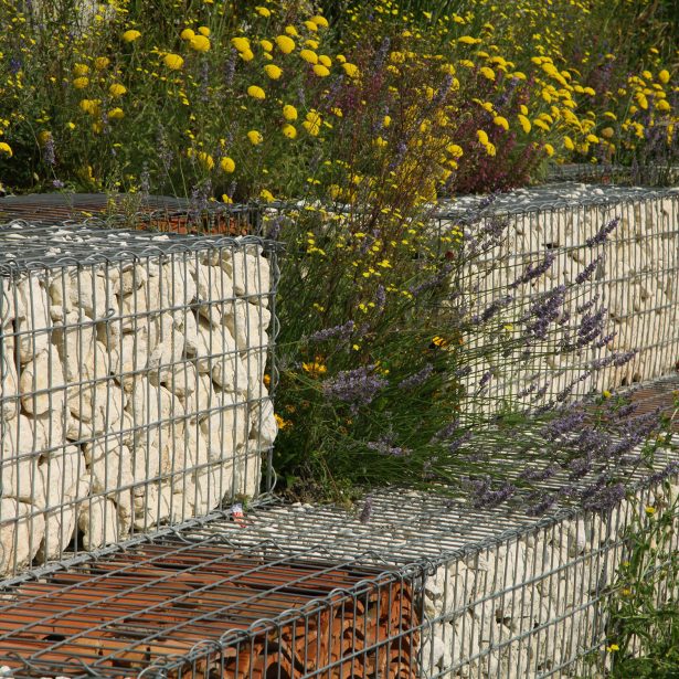 Gabion wall with flowers