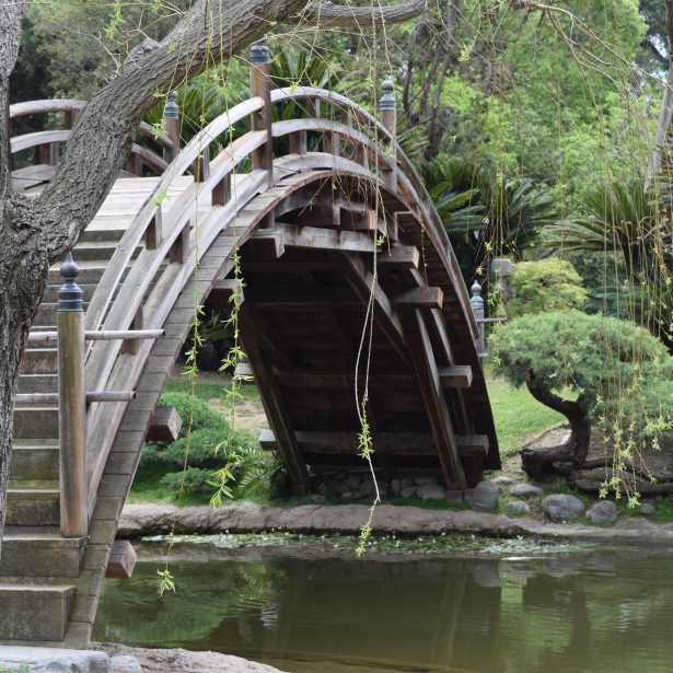 Bridge at Huntington Gardens