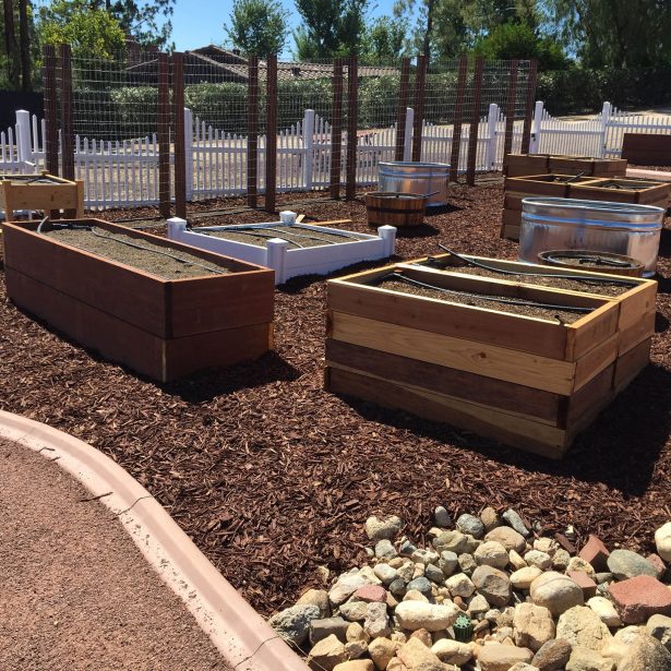 Raised garden beds