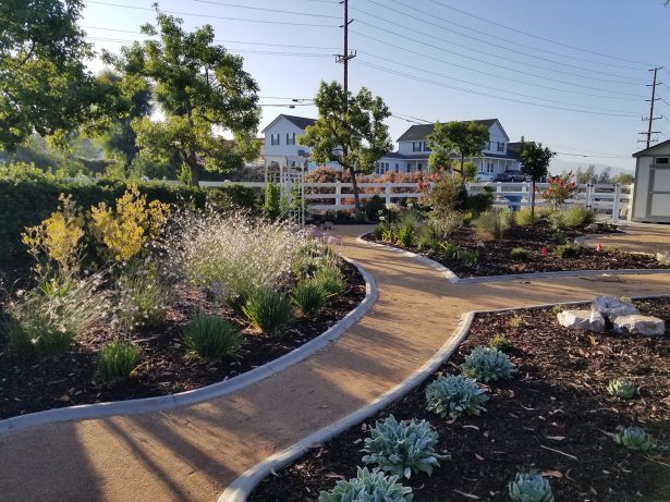 Backyard with strolling path