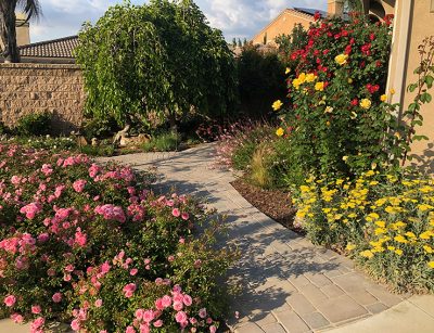 paver pathway and planting for multi-generational house