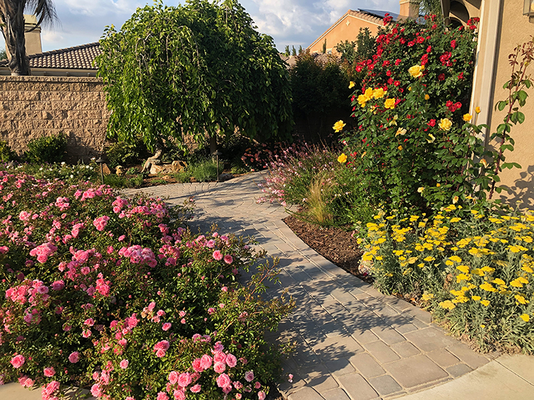 paver pathway and planting for multi-generational house