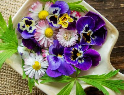 Plate full of edible flowers