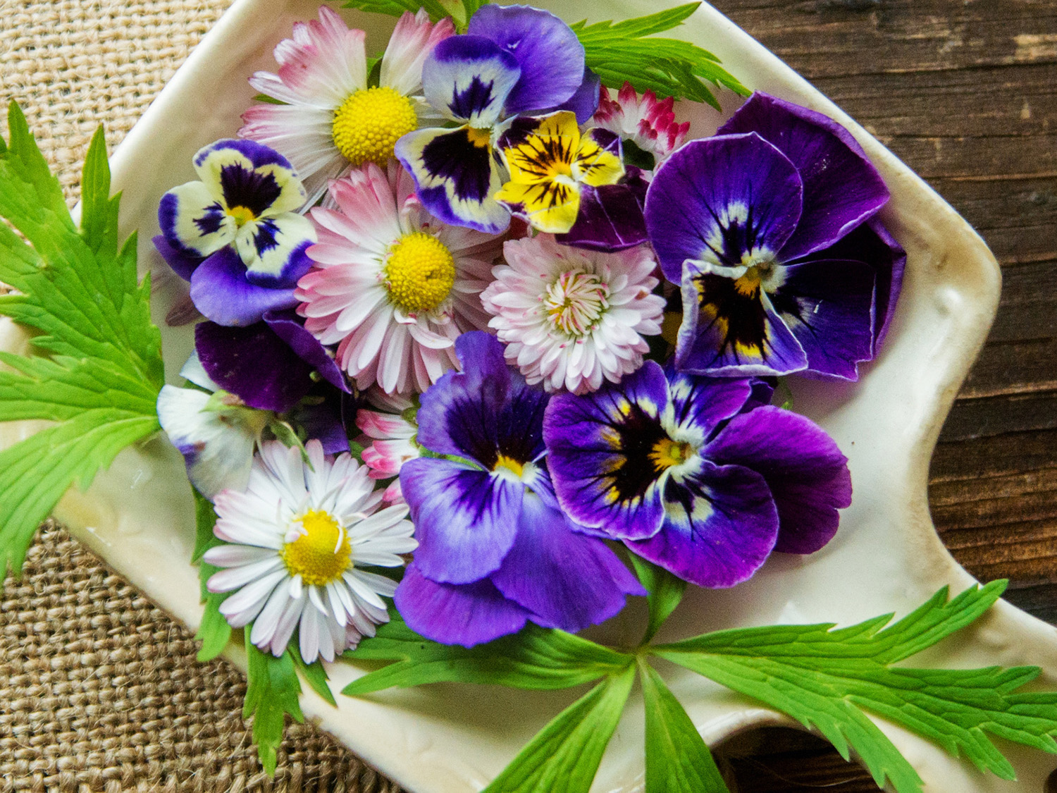 Plate full of edible flowers