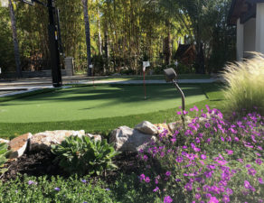 Residential putting green with garden plants