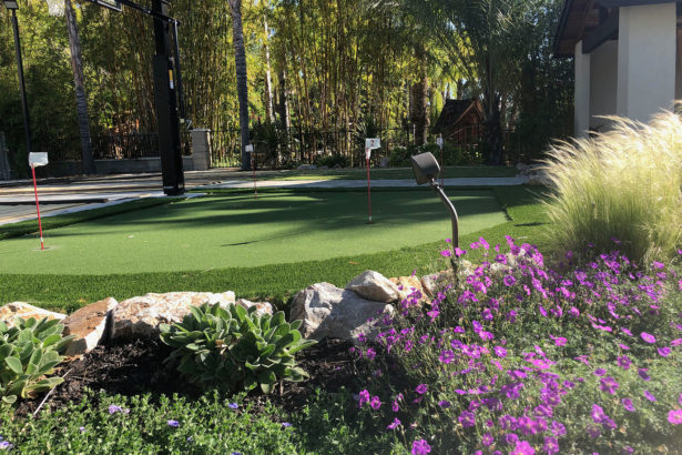 Residential putting green with garden plants