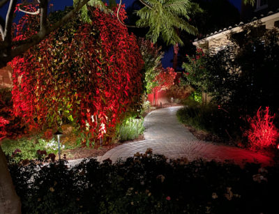 Colored red and green LED lights in a backyard garden.