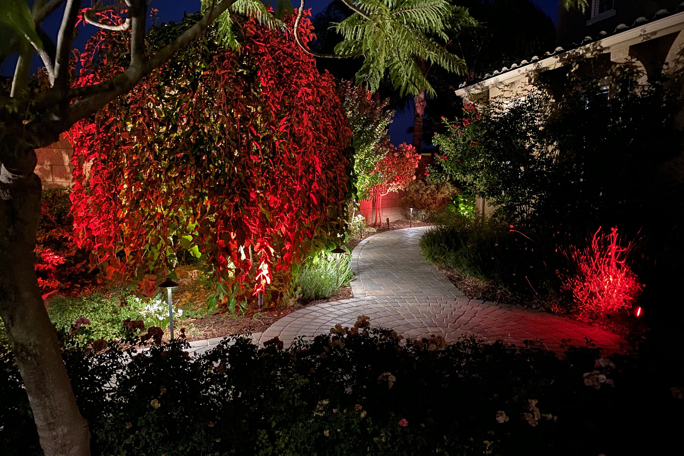 Colored red and green LED lights in a backyard garden.