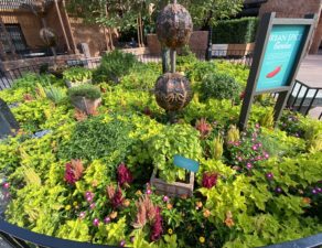 The Urban Spice Garden at Epcot