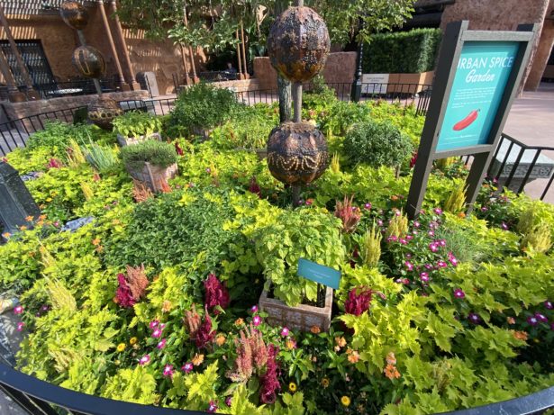 The Urban Spice Garden at Epcot