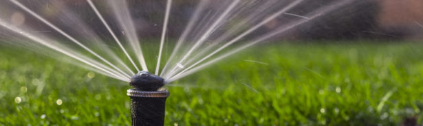 automatic sprinkler system watering the lawn on a background of green grass.