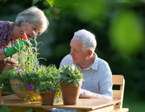 Senior couple potting plants outside.