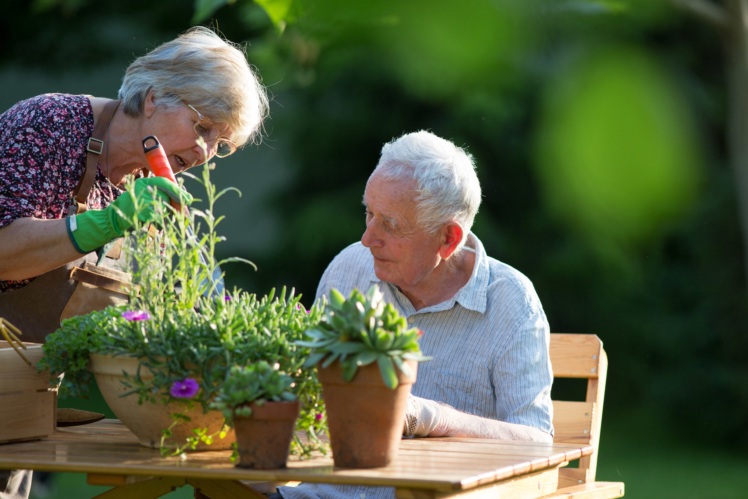 Senior couple potting plants outside.