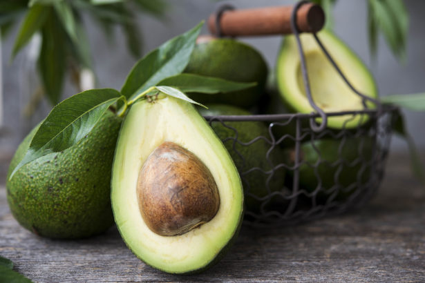 Fresh grown green avocados